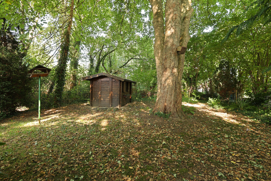hinterer Garten