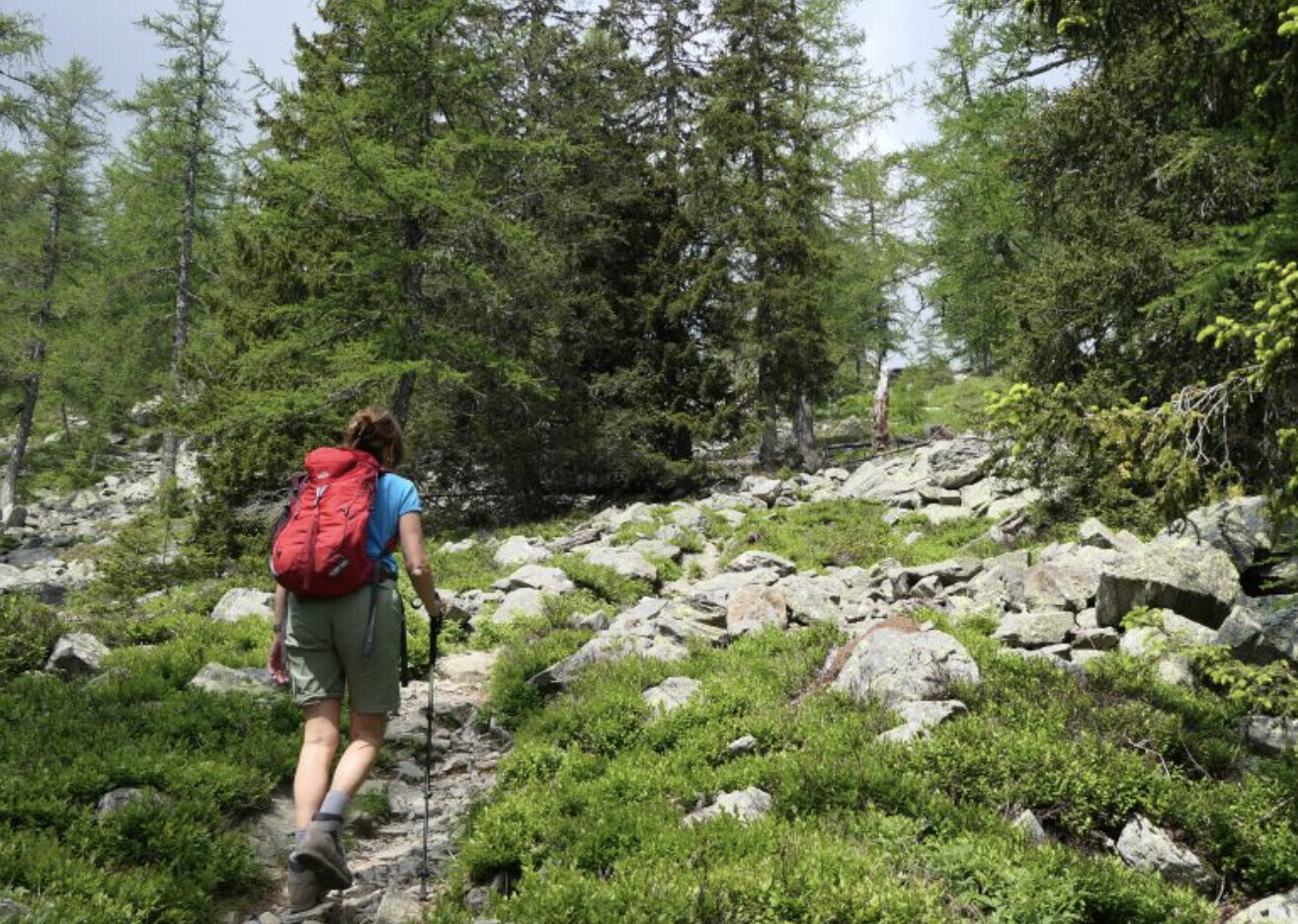Sulla strada per i Paioni