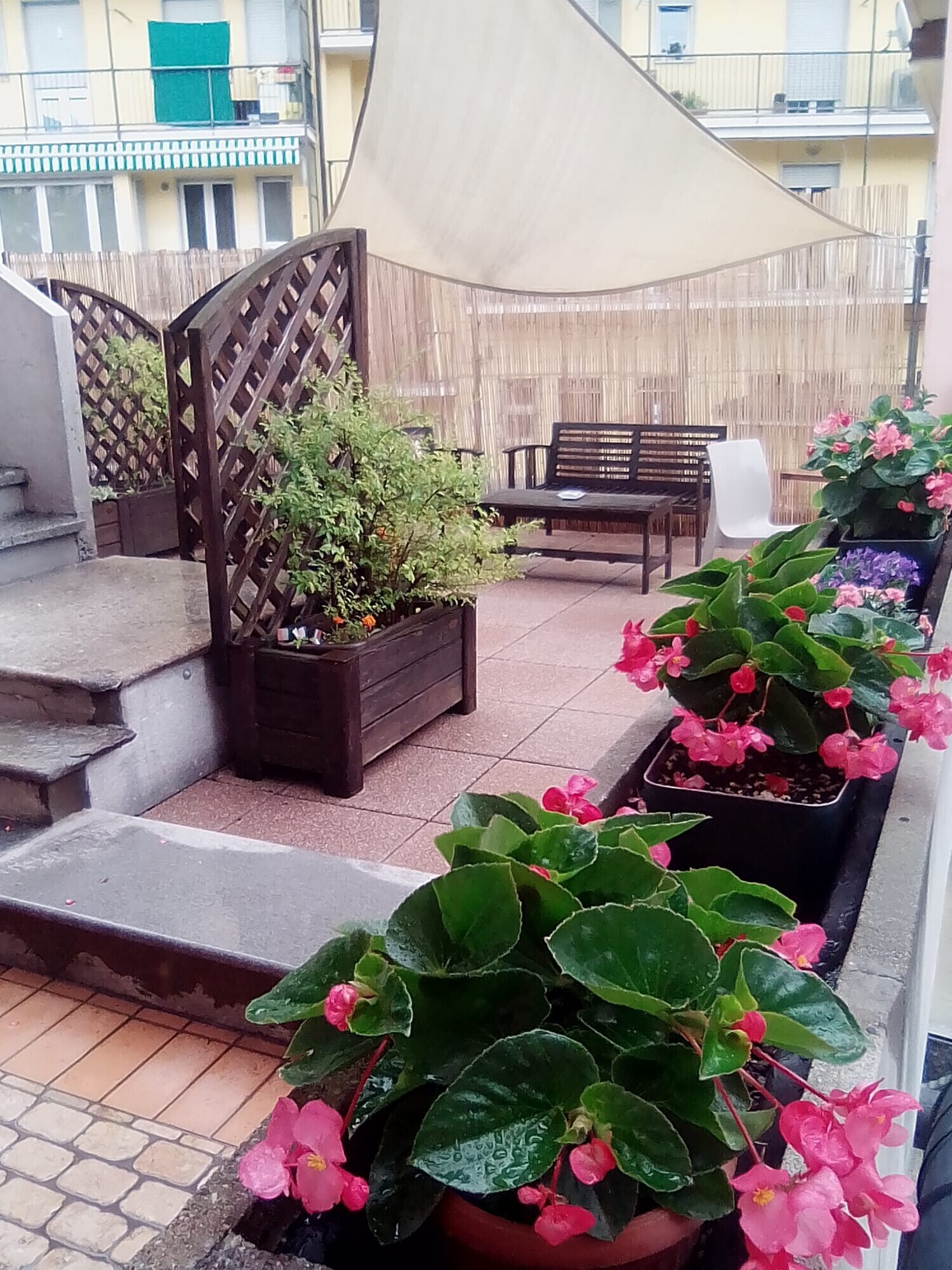 fuori 3