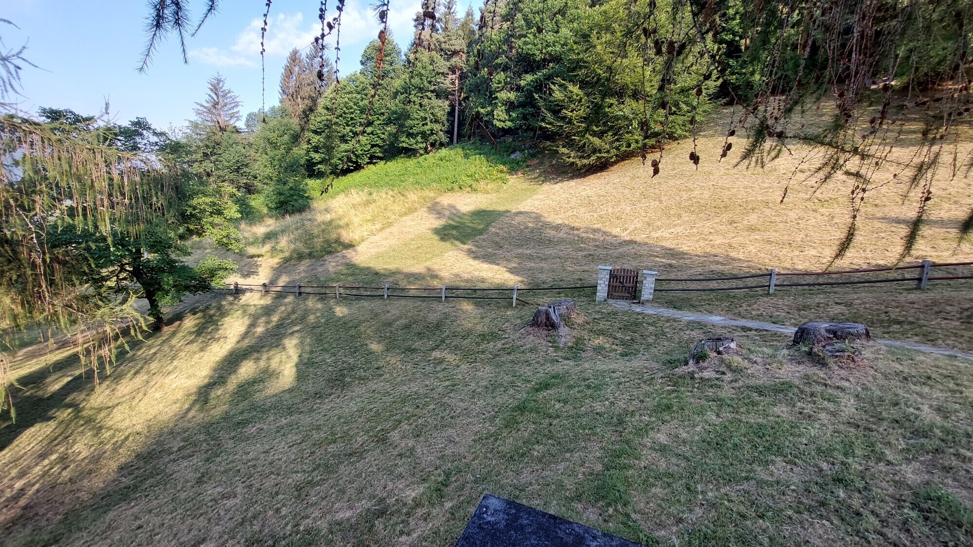 20220724_081656