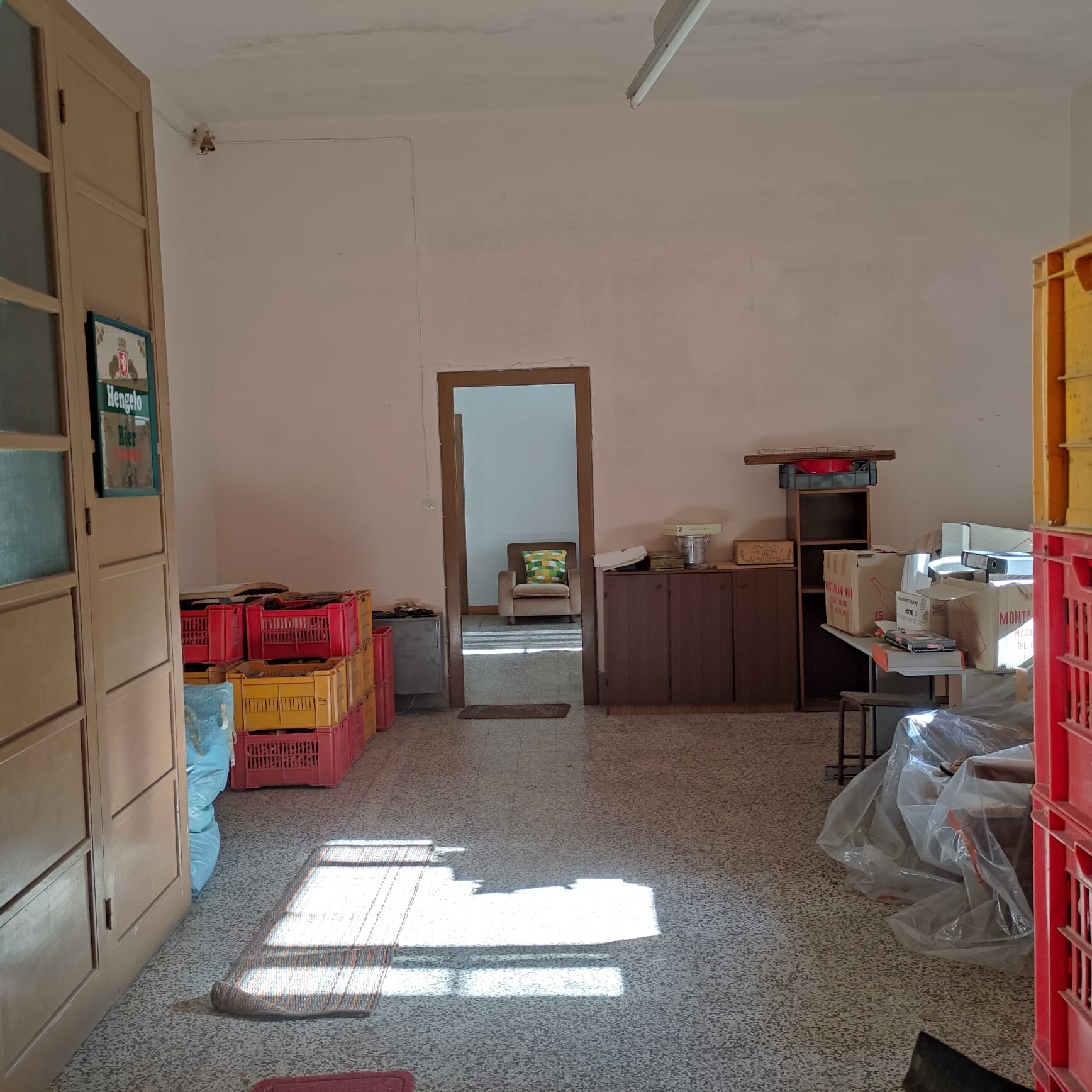 IMG-20260209-WA0009