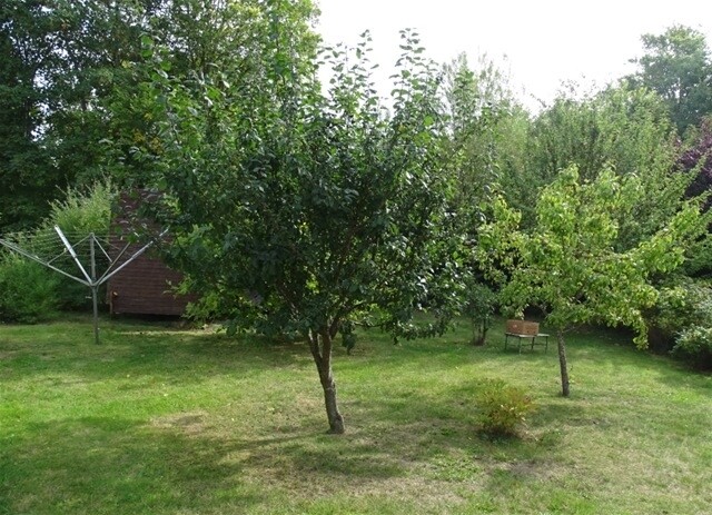 Gartenfläche