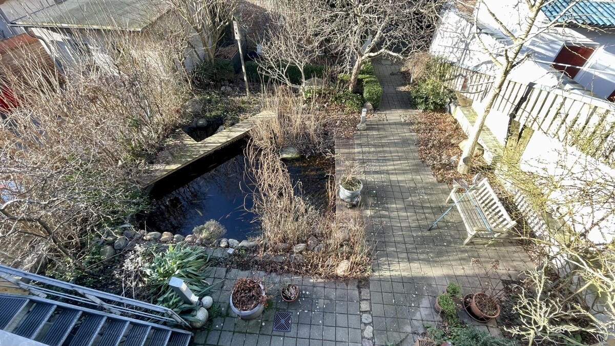 Garten mit Teich