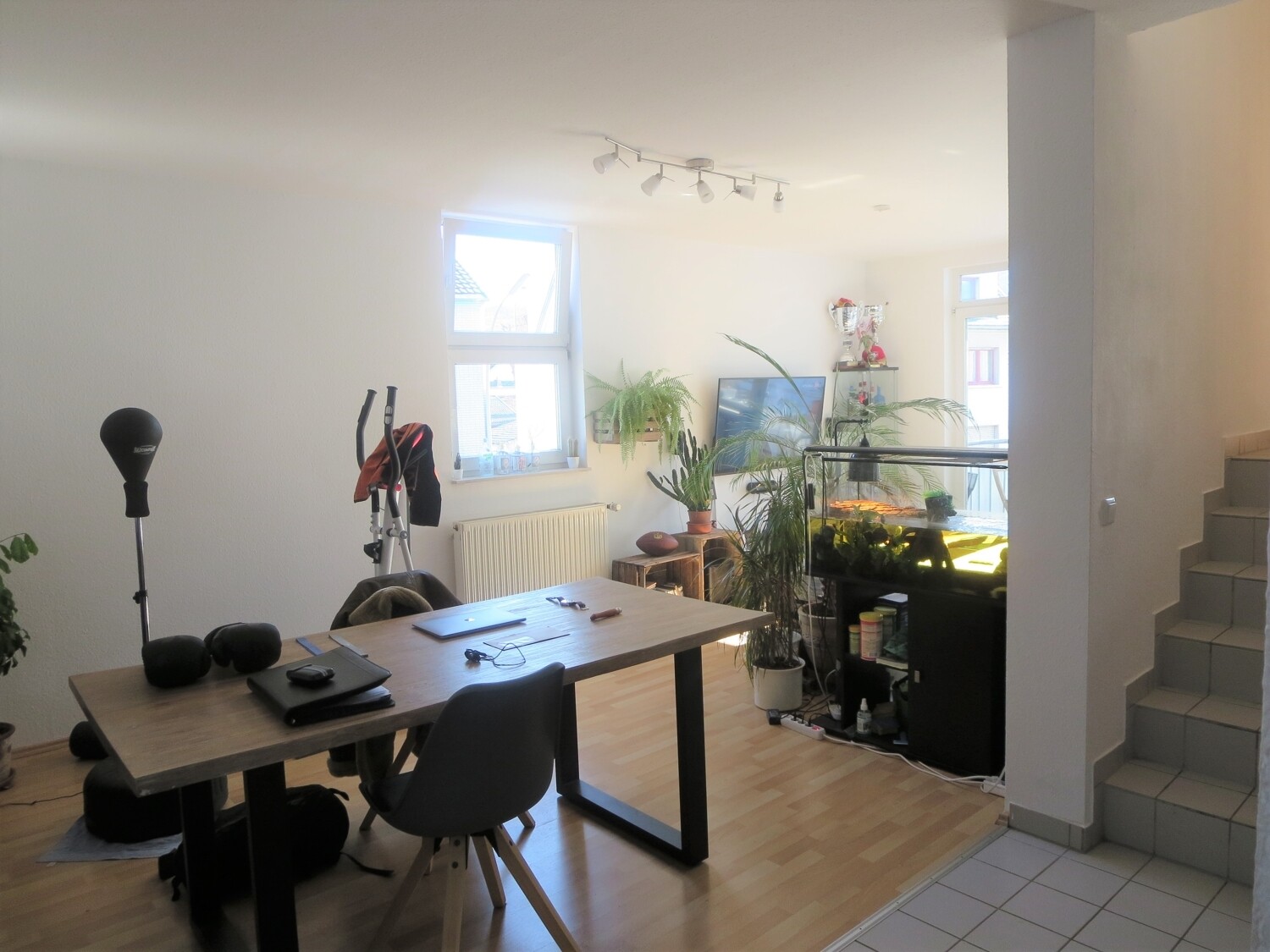 Unten Bild 1