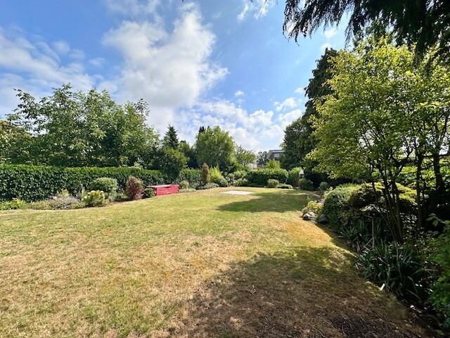 Blick in den Garten