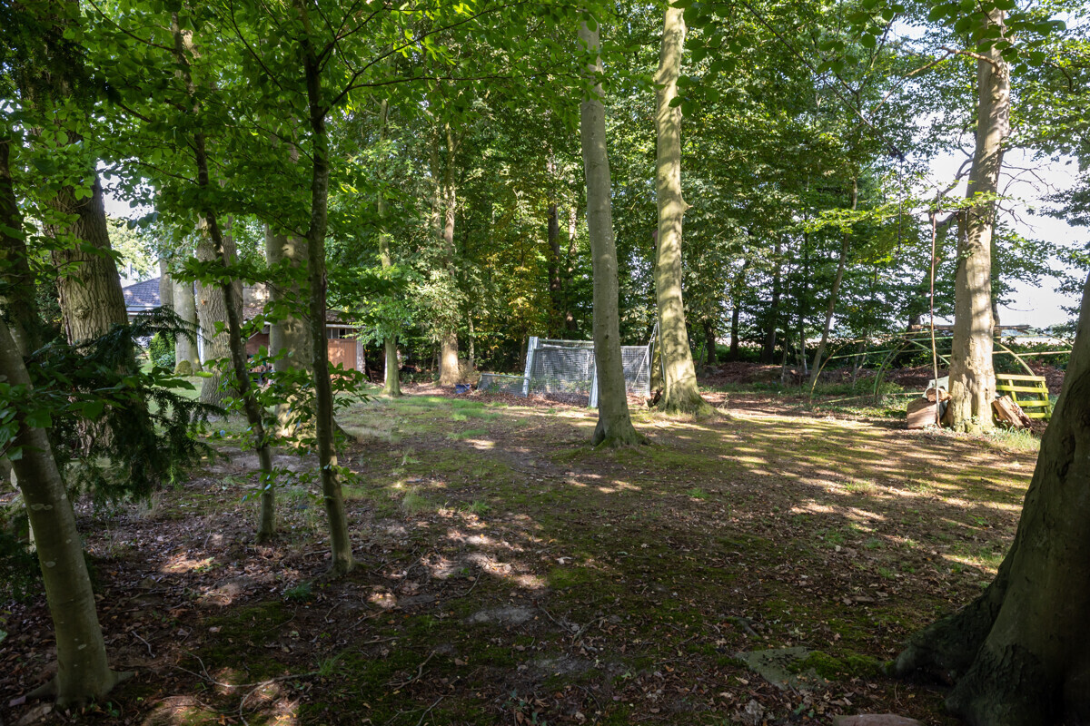 Wald