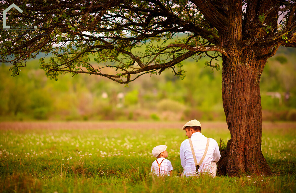 Father and son Grundstück