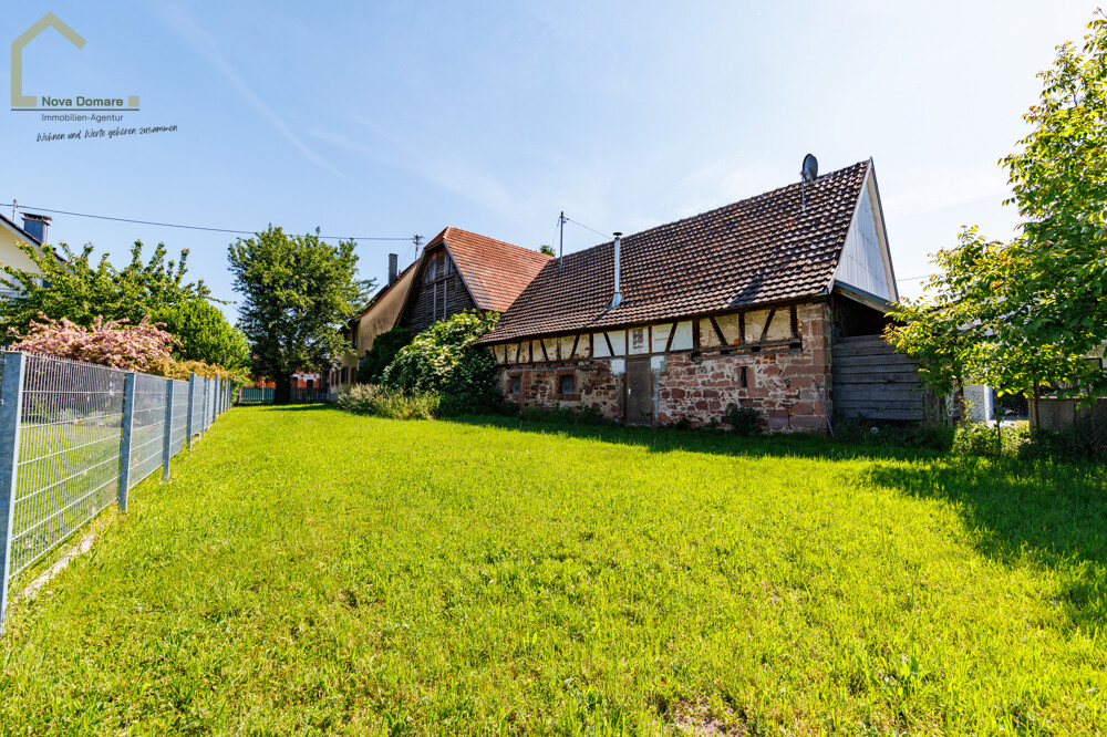 Blick über den Gartenbereich