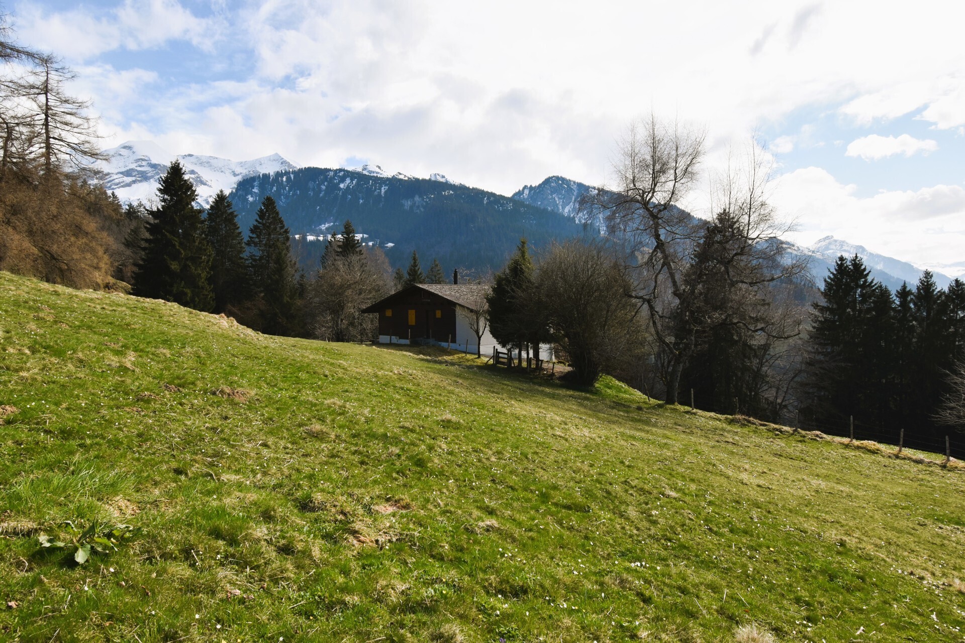 Immobilienbild