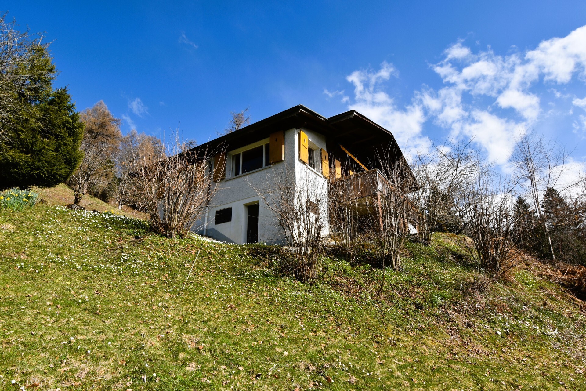 Immobilienbild