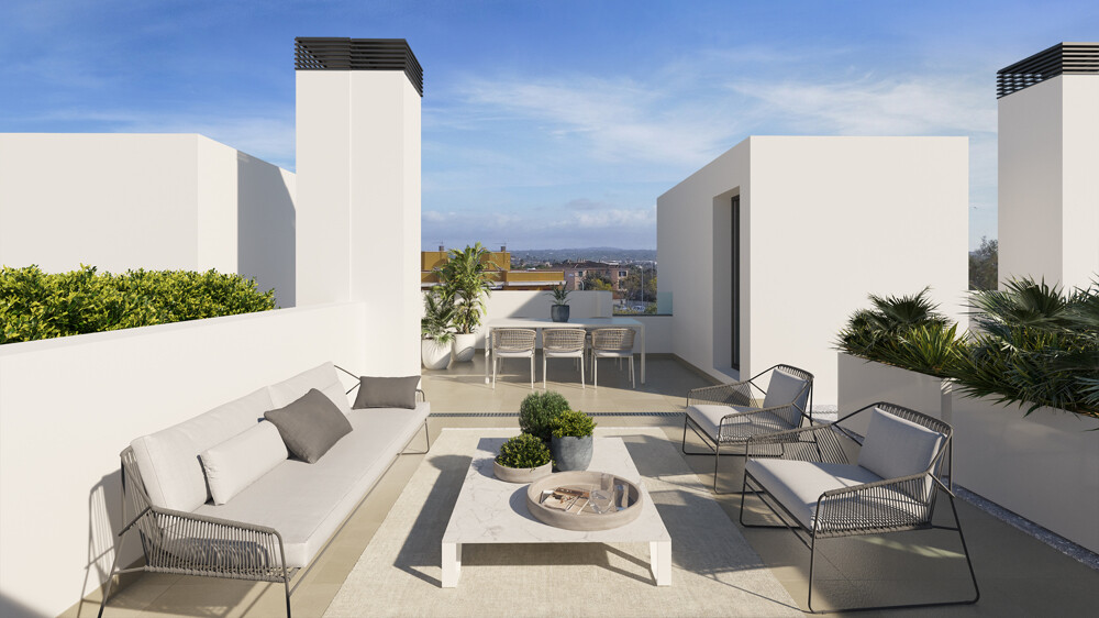 Roof Top Terrace