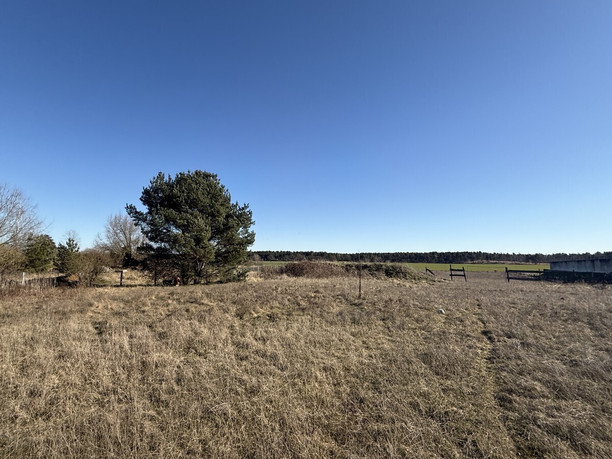 Flurstück 300/59, 496