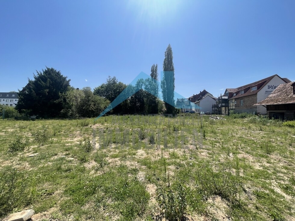 Impressionen vom Grundstück