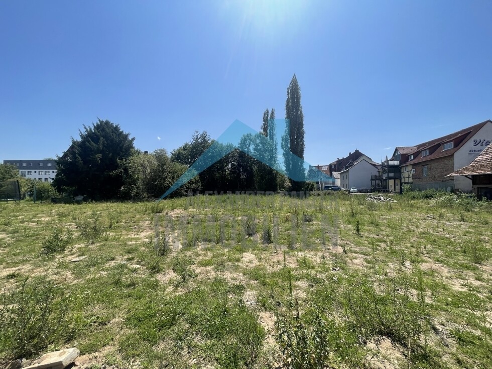 Impressionen vom Grundstück