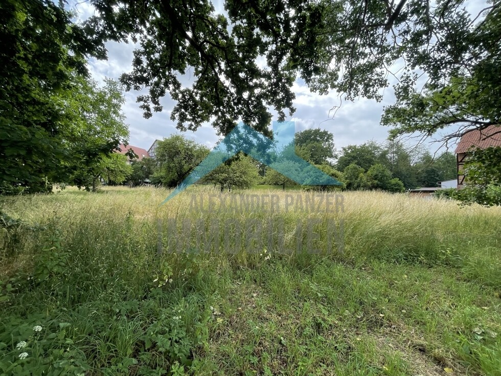 Impressionen vom Grundstück