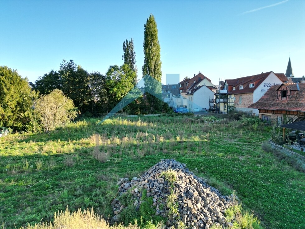 Impressionen vom Grundstück