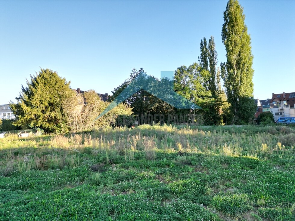 Impressionen vom Grundstück