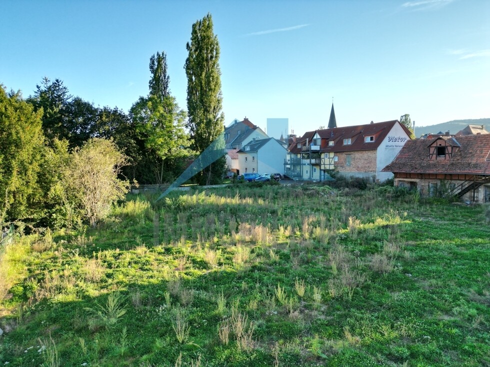Impressionen vom Grundstück