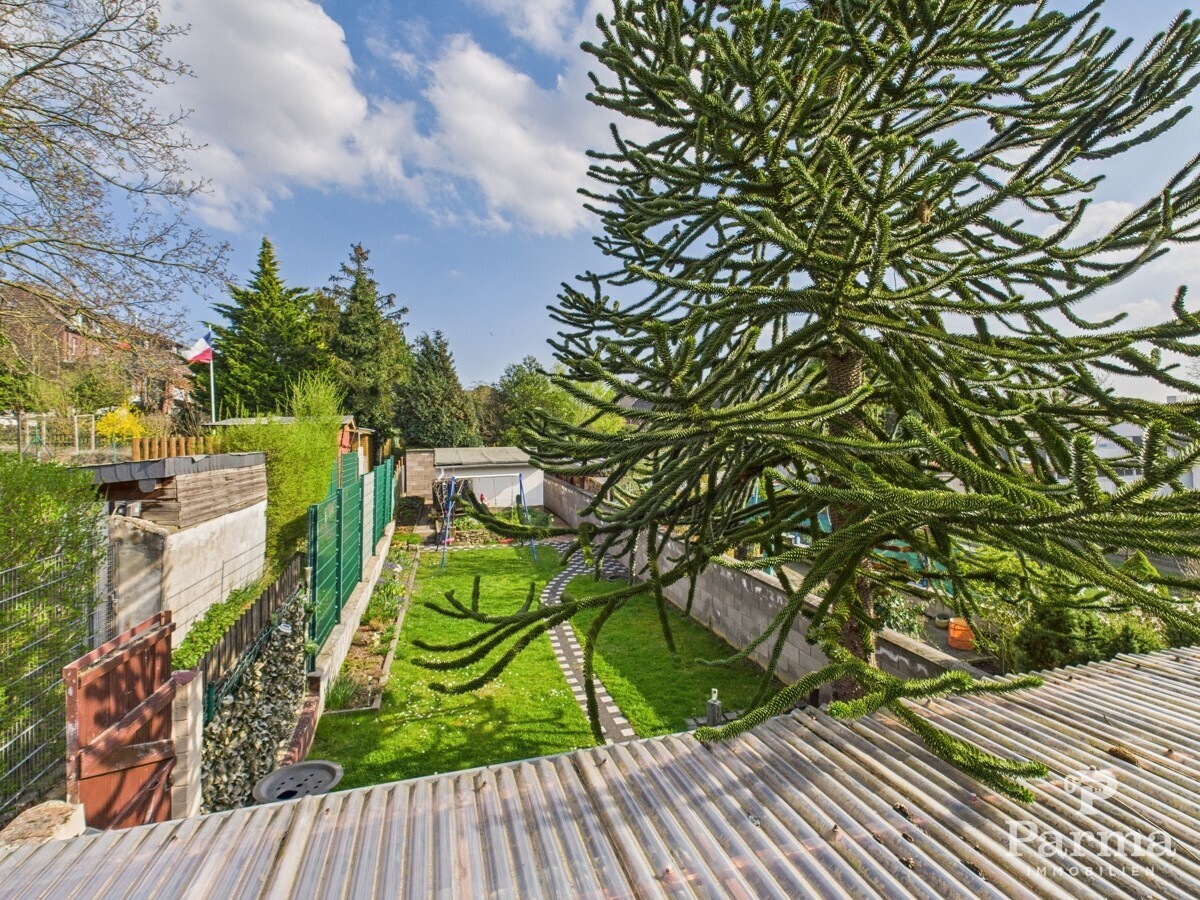 Blick in den Garten
