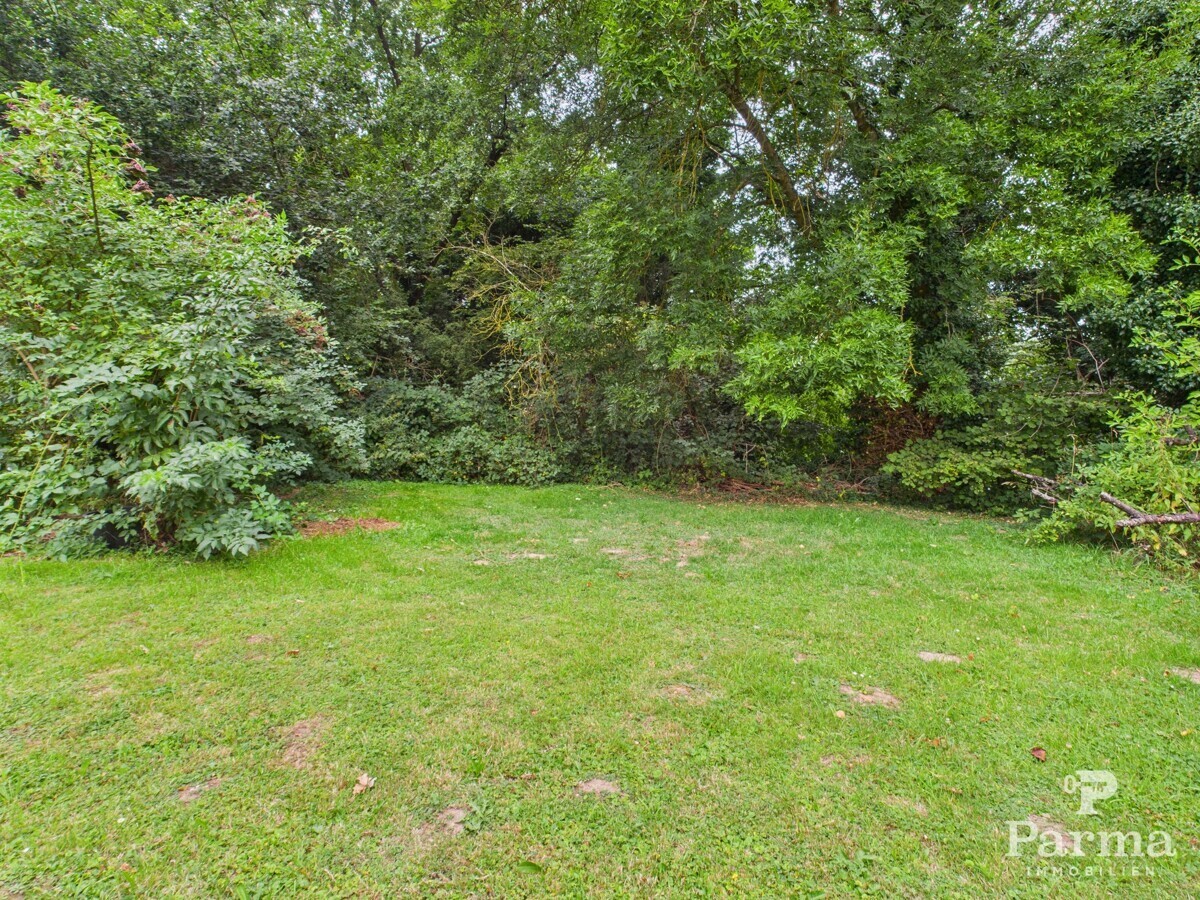 Wiesen- und Gartenfläche