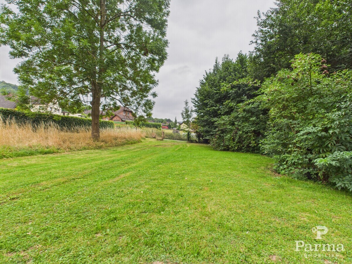 Wiesen- und Gartenfläche