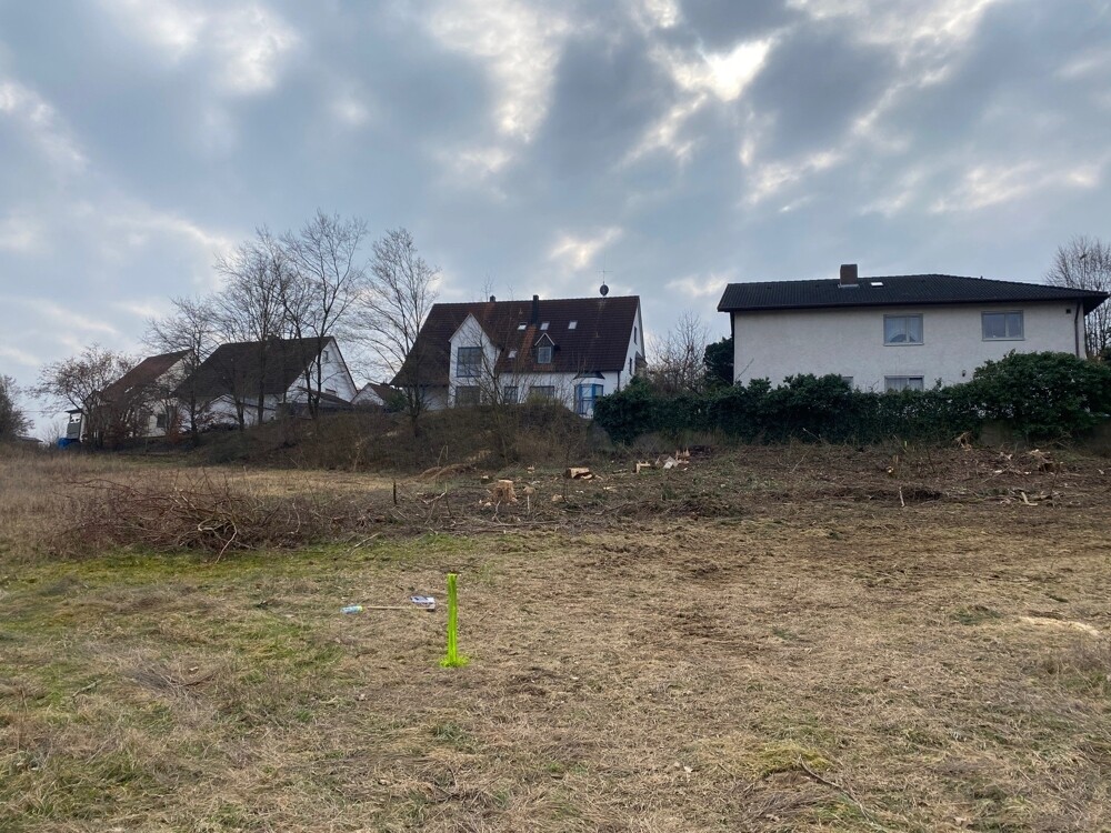 Blick auf das Grundstück mit Markierungen 