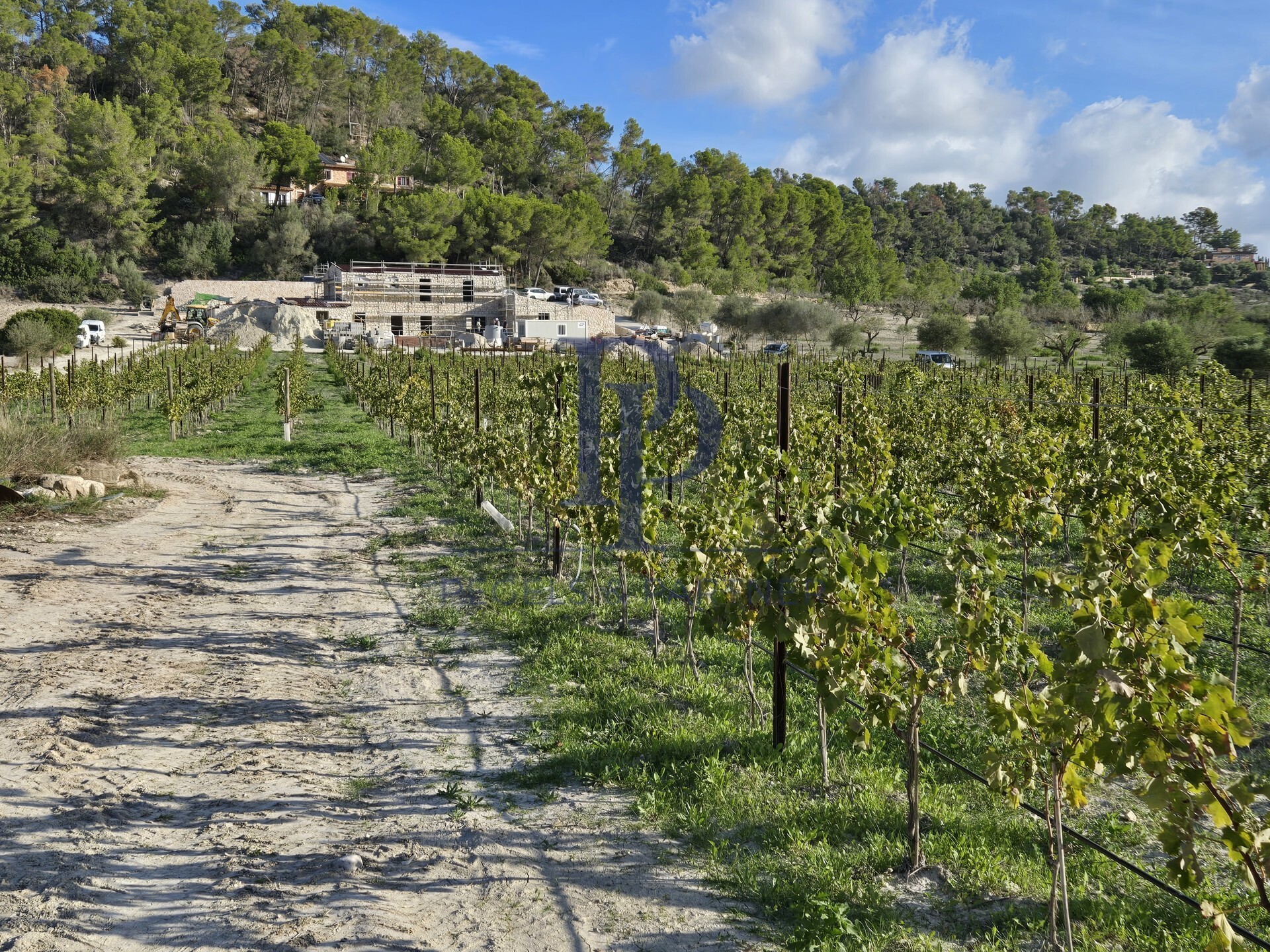 Weinberg
