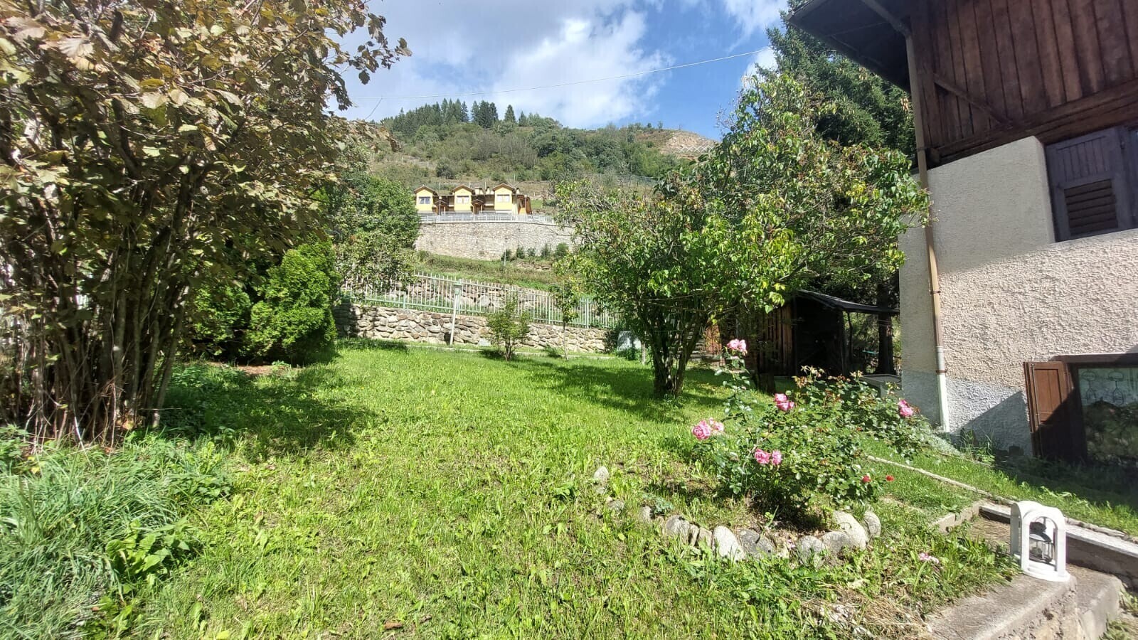 Immagine WhatsApp 2025-07-09 ore 08.42.52_857d930b