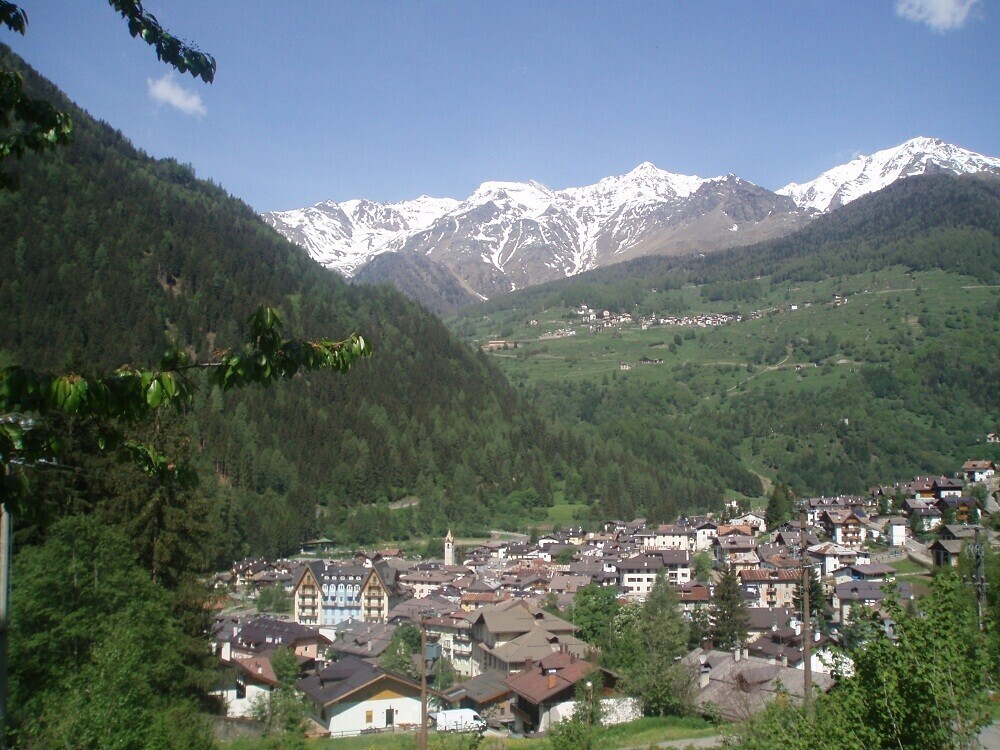 cogolo