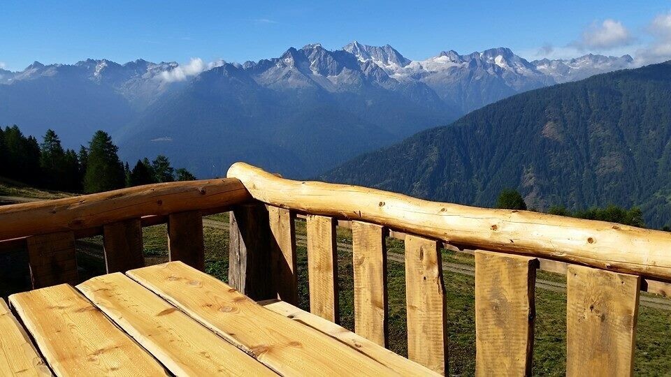 malga campo 3