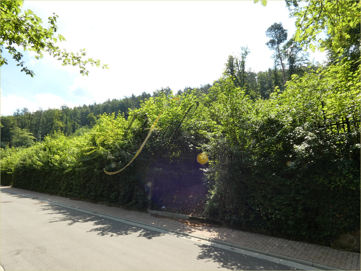aktuell 2