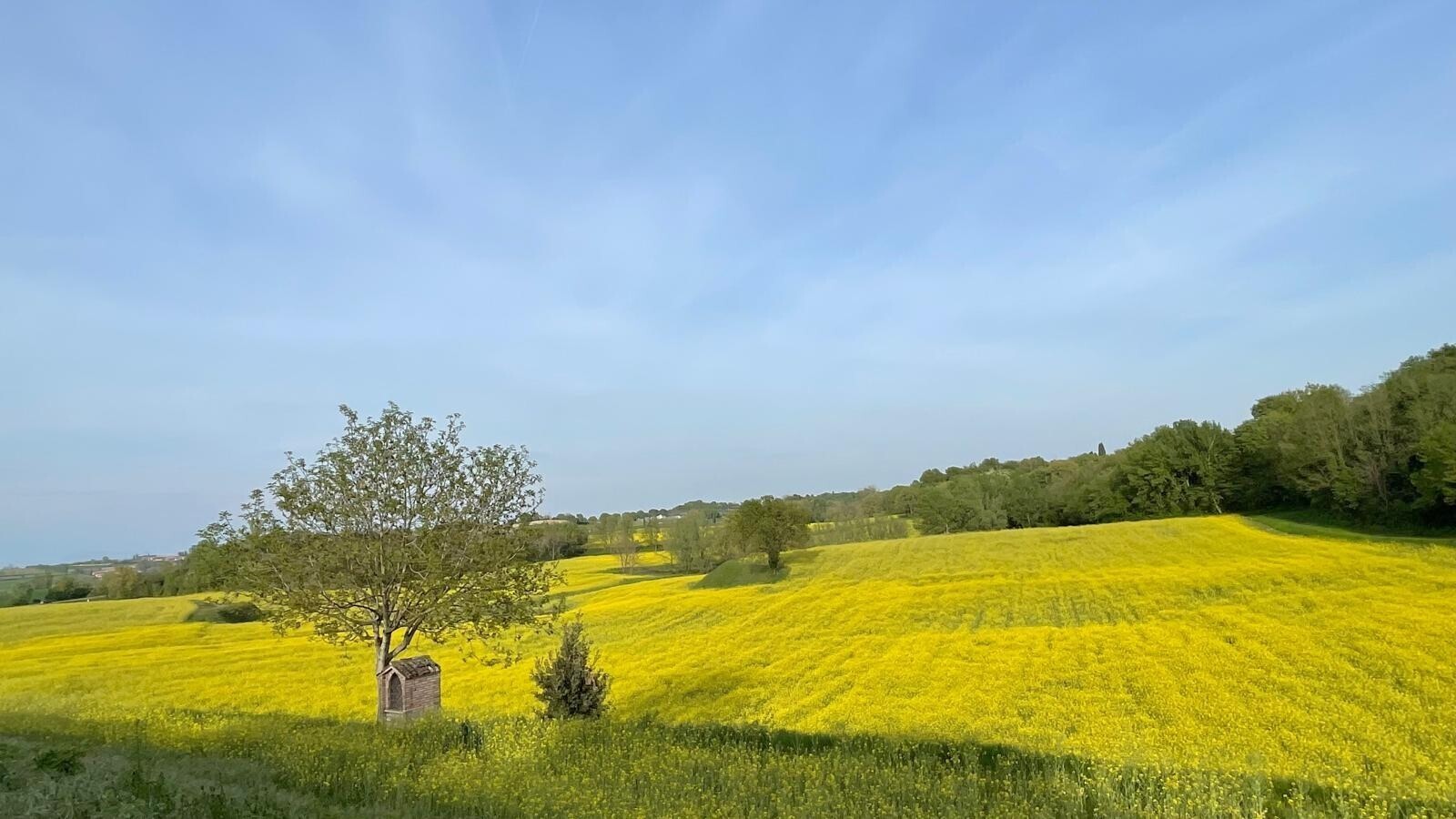 panorama
