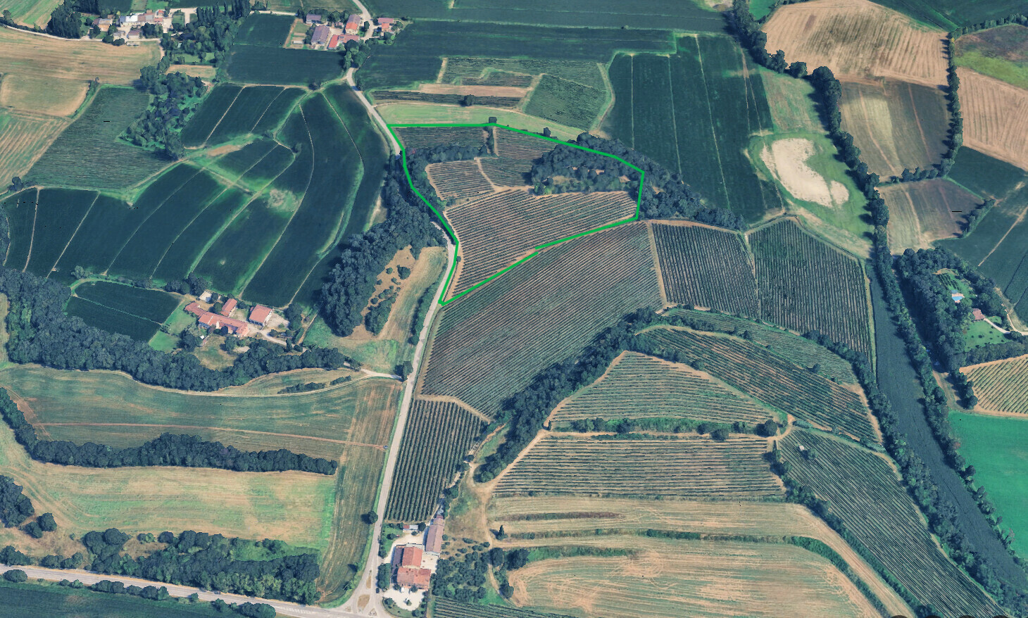 vigneto Cavriana