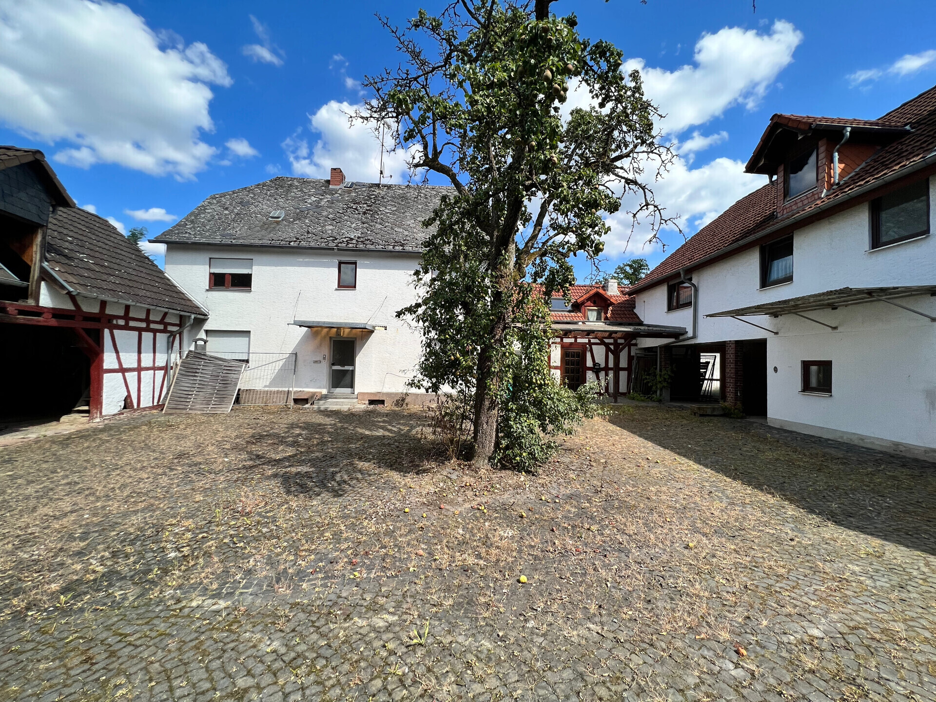 Immobilienbild