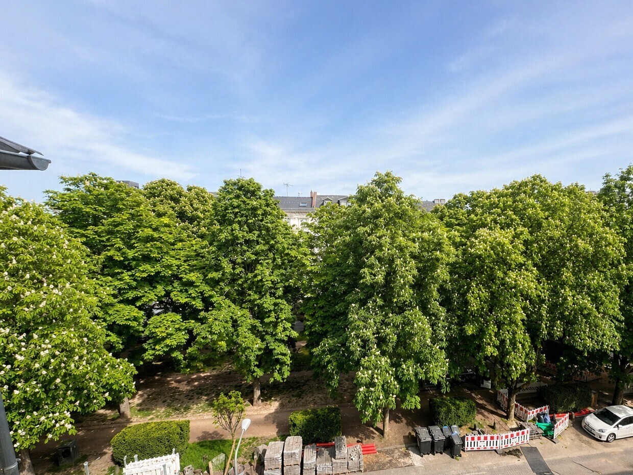 Blick auf Adolfsallee
