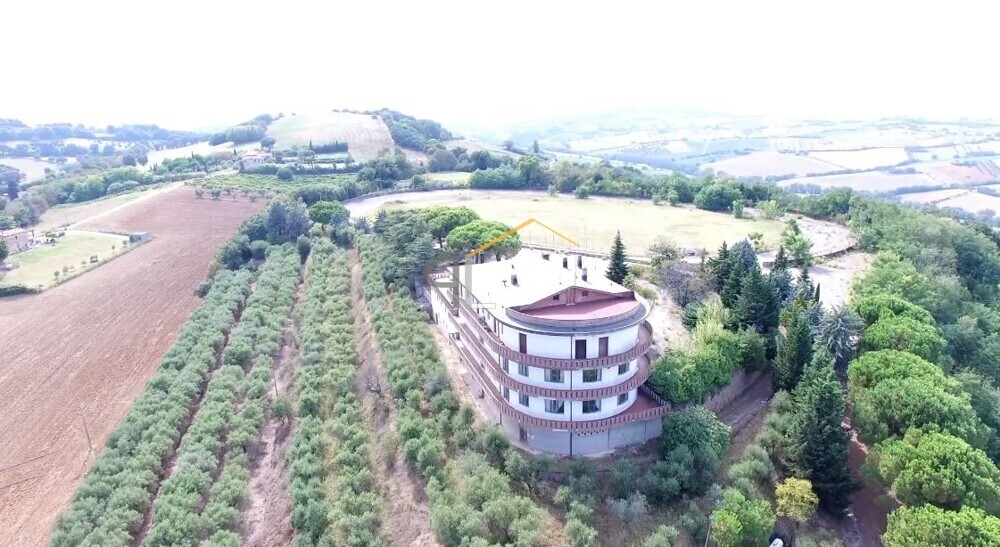 foto2