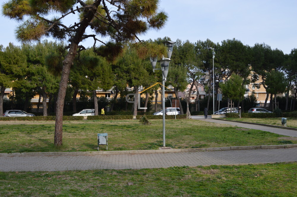 Immagine della proprietà