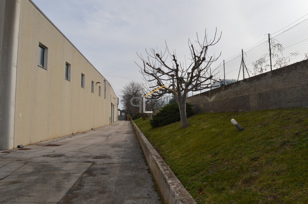 Immagine della proprietà