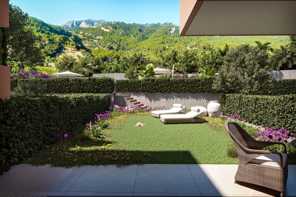 Terraza