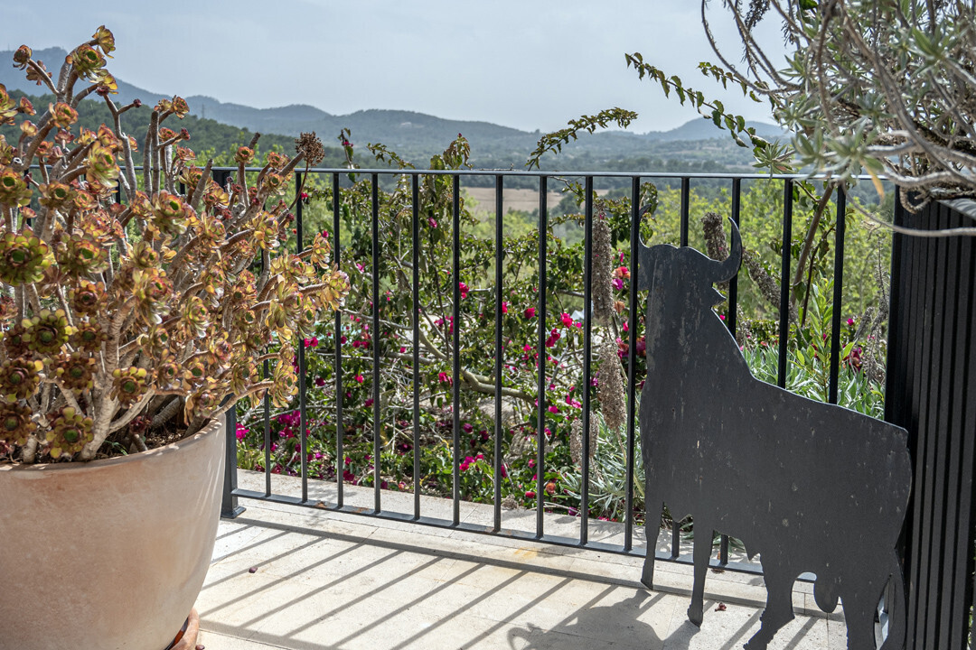 Terraza