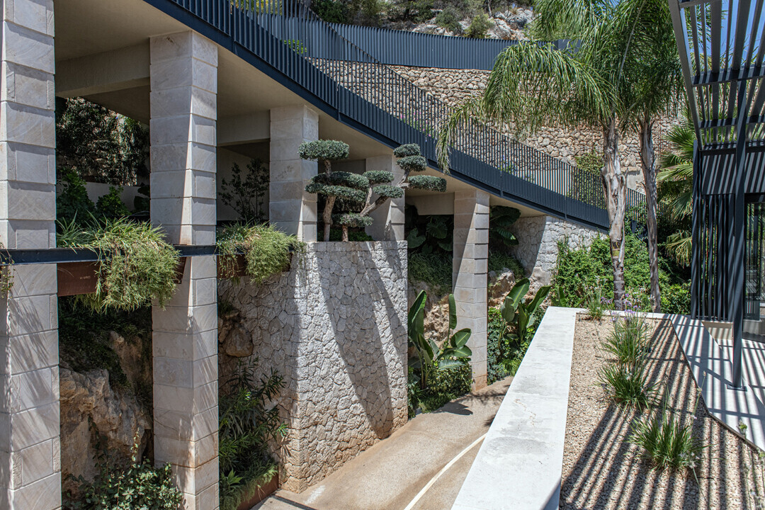 Terraza