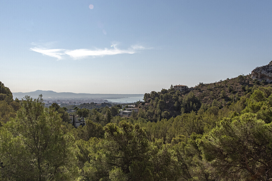 Vistas