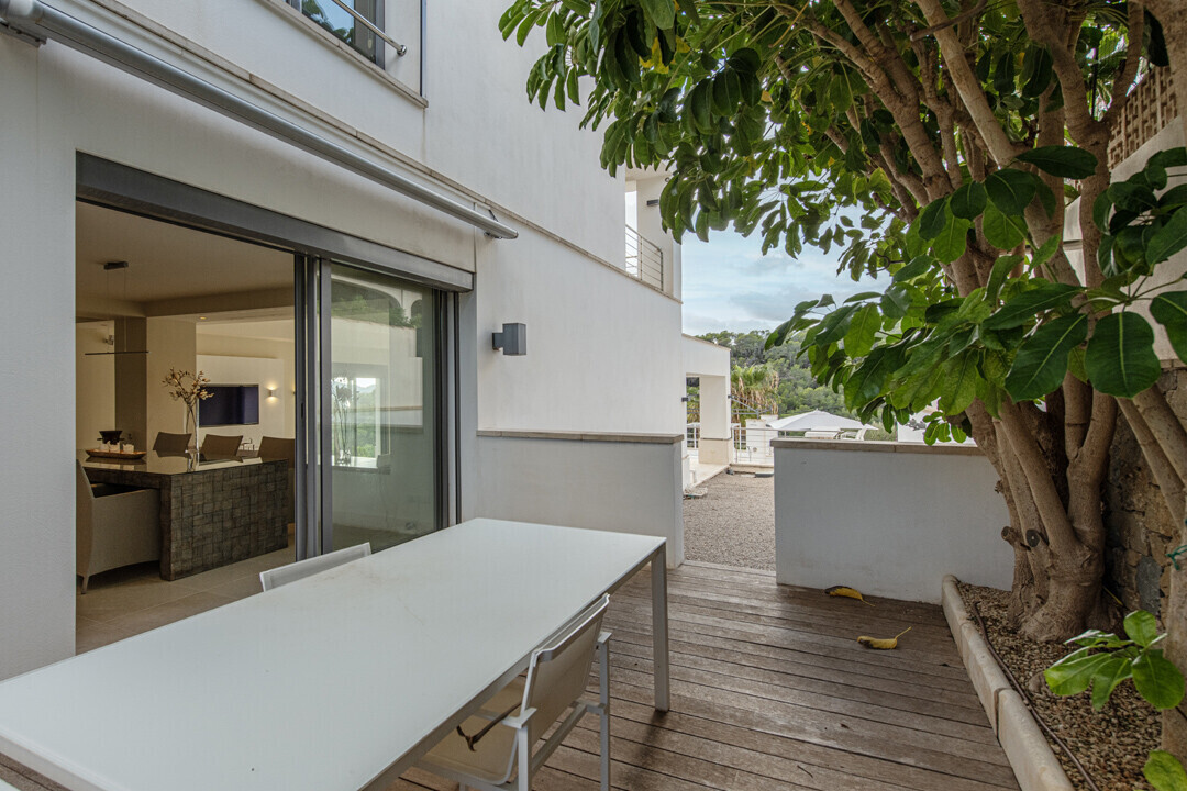 Terraza