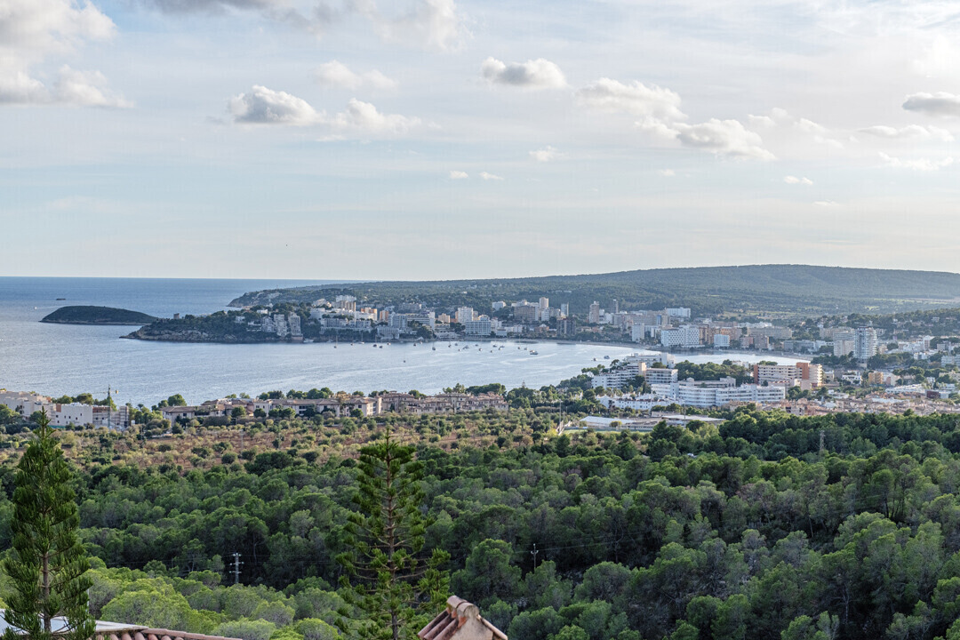 Vistas