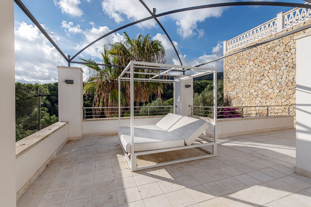 Terraza