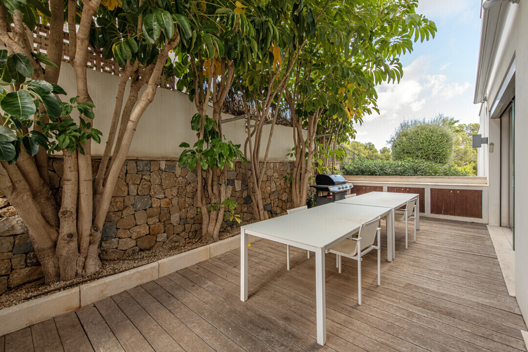 Terraza