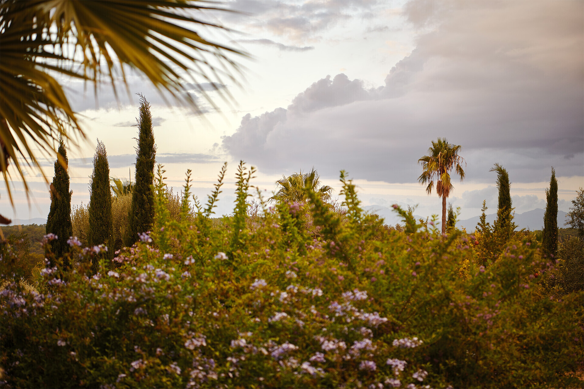 Jardin