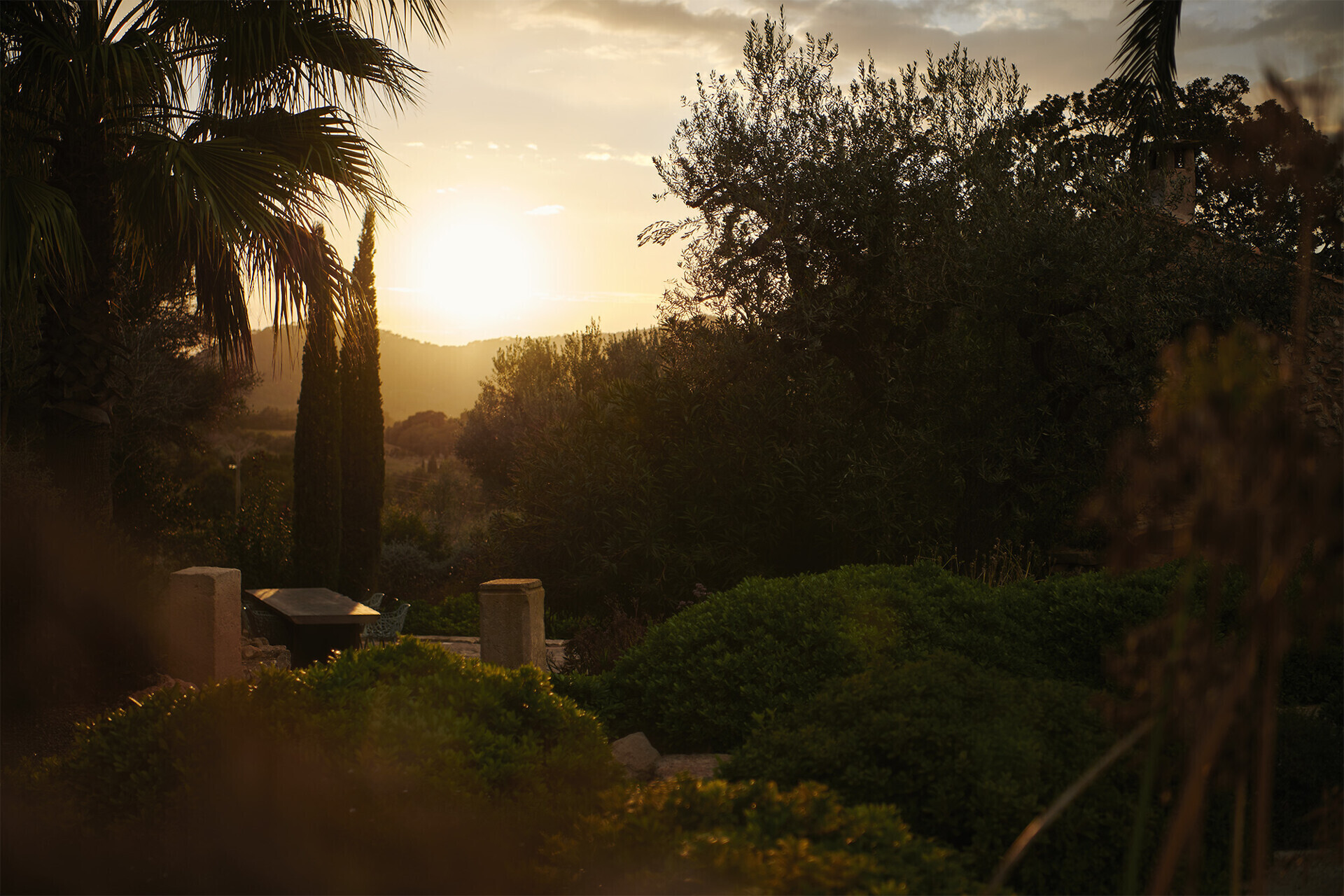 Jardin