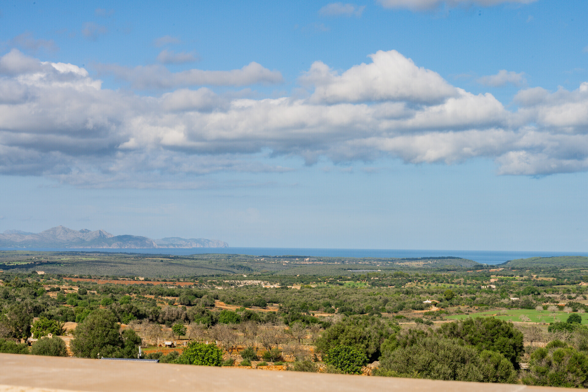 Can_Vista-38