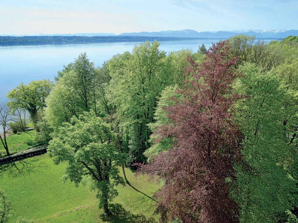 Immobilienbild